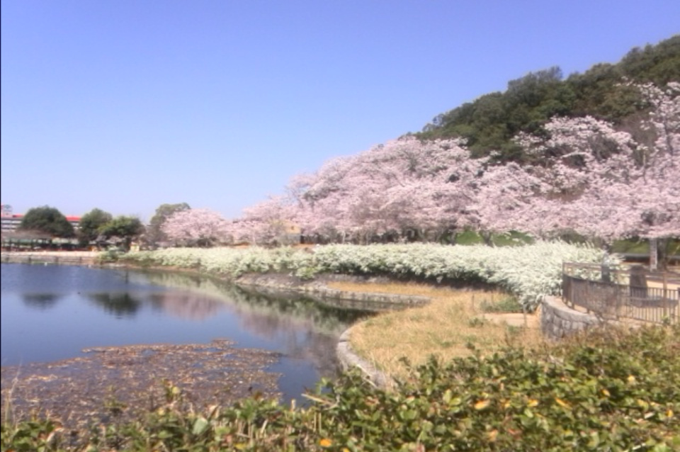 耳成山の写真